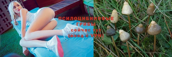 гашиш Богородицк